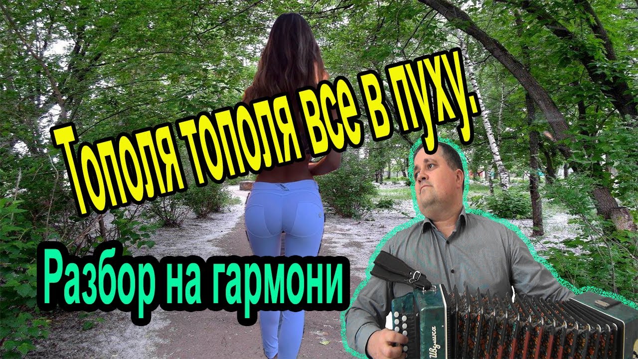 Бежит разбор. Тополя тополя все в пуху разбор на гармони. с тополей разбор.