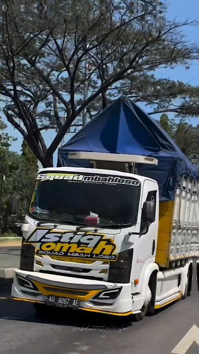 STORY WA TRUK 30 DETIK‼️#trukmania #trukmbois #trukoleng #drivermuda #shorts