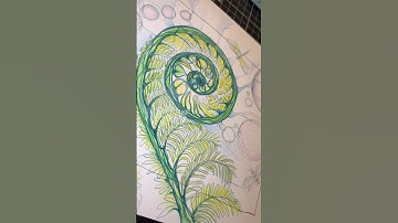 Do you draw Spirals?  🌀 Share in comments 🌀