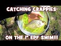 Catching CRAPPIE on the 1&quot; EPF SWIM...!!!