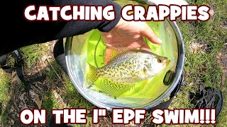 Catching CRAPPIE on the 1" EPF SWIM...!!!
