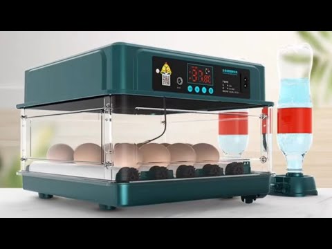 Инкубатор на 48 яиц из Китая