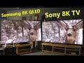 Samsung 8K QLED vs Sony 8K TV Comparison (2020)