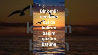 Başım Gözüm Üstüne