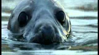 BBC Autumnwatch 2013 - Episode 3 (Part 5)