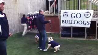Most exciting 60 seconds at Butler Homecoming