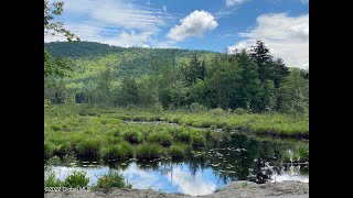0 Alder Brook Road video tour