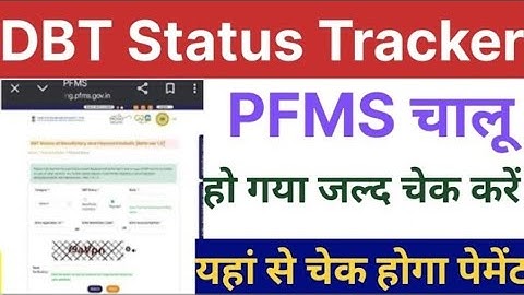 DBT Status Tracker PFMS has started, check it quickly | Payment can be checked from here | How to...