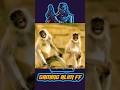 freefire funny video. #freefirefunnyvideo #freefirefunnyshorts #gamingalimff #freefire #shorts