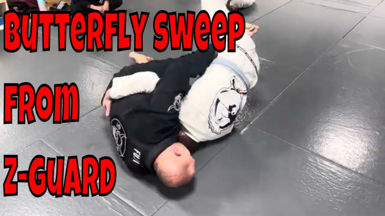 Master The Butterfly Sweep From The Z Guard! - YouTube