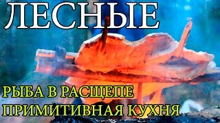 Дикая кухня - ЖАРЕНАЯ ЩУКА НА ОГНЕ В РАСЩЕПЕ | Cooking Fish Bushcraft Style