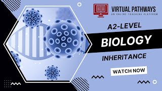 Inheritance (Part 4) | A2-Level Biology 9700 | Virtual Pathways