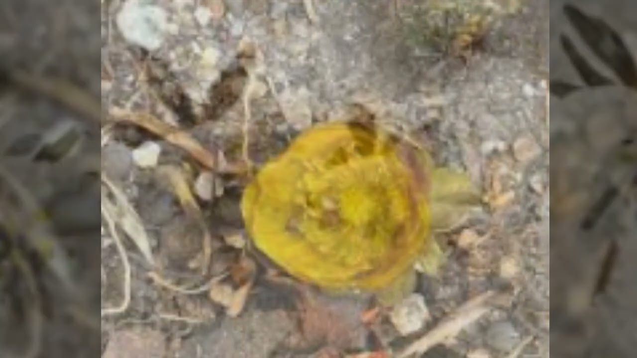 A Place Far, Far Away 아득히 먼 곳 [그 곳에 있다]​By Park Ki-bum