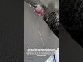 🛠️🧱 Wall Skimming for a Smooth Plaster Finish