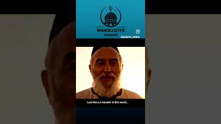 Dünyada Yolcuyuz. Resimi