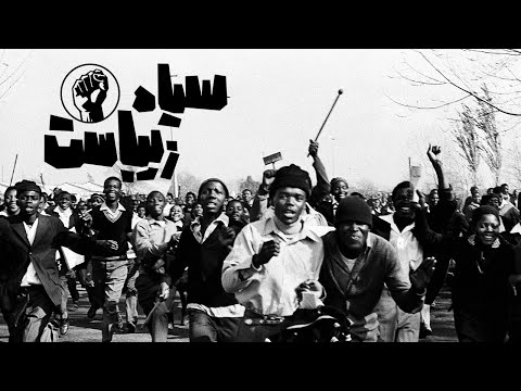 سانگل چهارم سیاه زیباست 