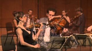 Beethoven String Quartet Op. 127 in E-flat Major, Maestoso-Allegro -Ariel Quartet (excerpt)