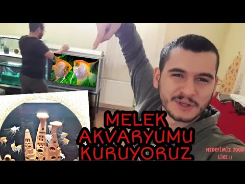 MELEK BALIĞI AKVARYUMU KURUYORUZ