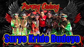 Perang Celeng Suryo Krido Budoyo ( SKB 1237 ) Live Kenayan Tulungagung