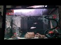 Nabhan Cichlid Aquatic sedang live sekarang!