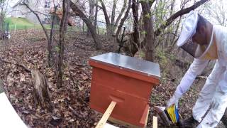 20150415 Checking on the hives Day 1