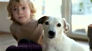 SNAP Payments On Hold: Keep Families and Their Pets Fed