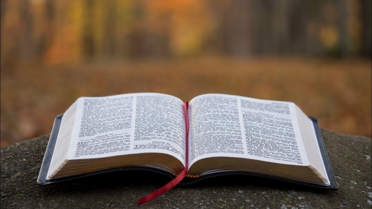 Bible Study - 04/01/20
