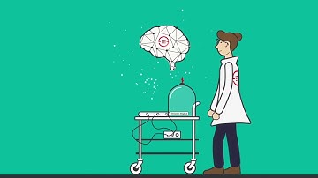 Call Authentication Services for Contact Centers