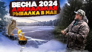 Аномальная рыбалка #майские #рыбалка #шашлык