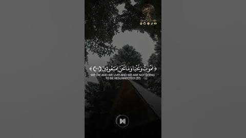 ﴿هيهات هيهات لما توعدون ﴾ ابداع ياسر الدوسري/ سورة المؤمنون