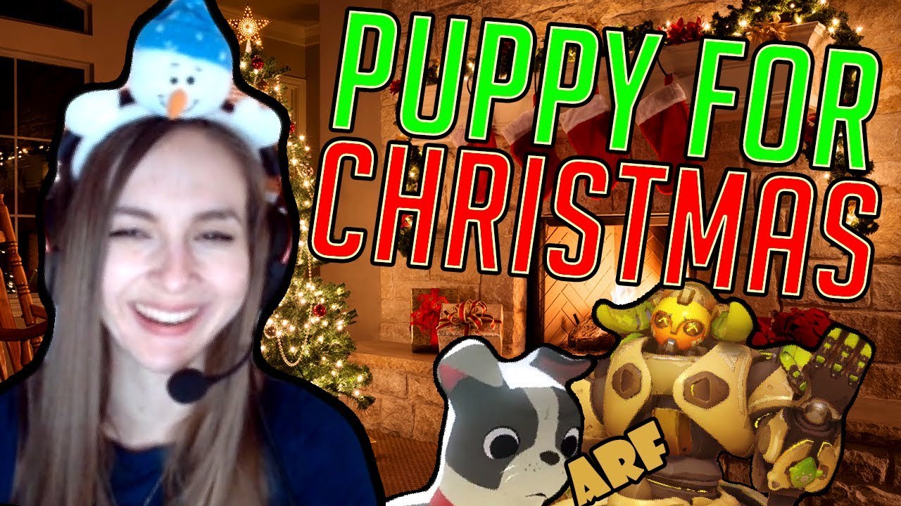DO I GET MY PUPPY FOR CHRISTMAS YouTube DO I GET MY PUPPY FOR CHRISTMAS YouTube