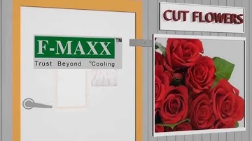 Explainer video for cold storage - Fmaxx