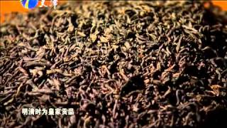 《拾遗 保护》 20140218 茶话  黑茶2