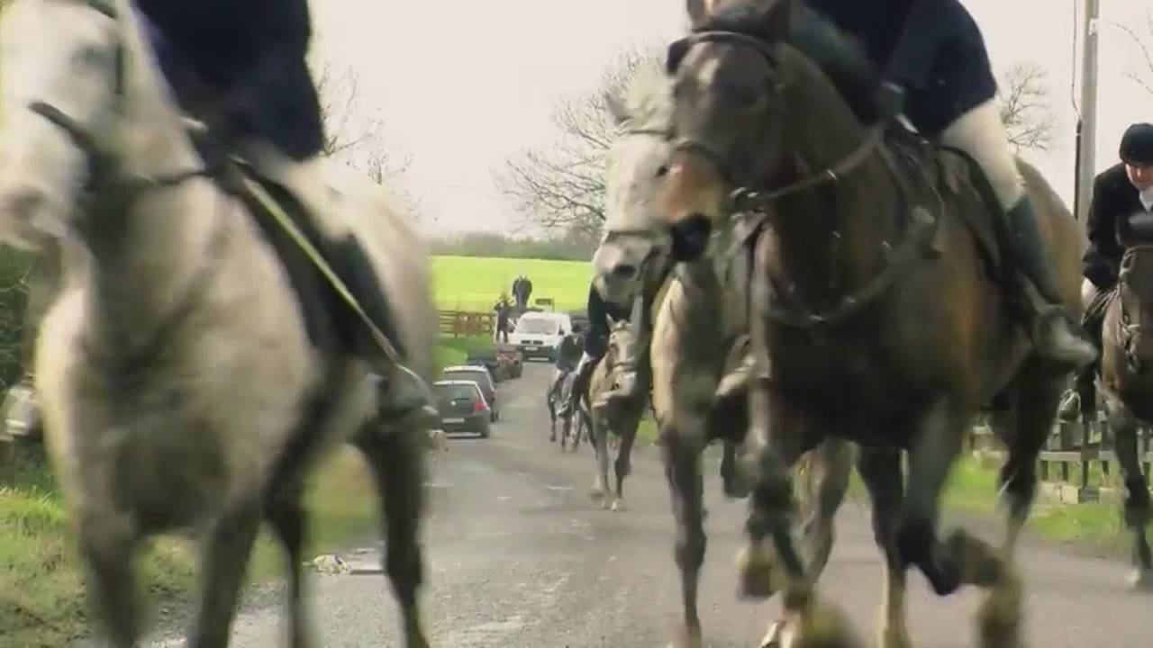 Berney Bros Saddlery