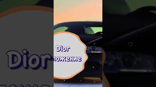 DIOR -ПОЛОЖЕНИЕ