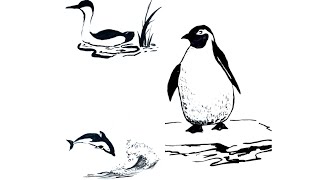 Simple Ink Animal Sketches for Beginners – Fast (Part 1)
