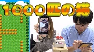 【毎日15時】森に迷い込んだ1000匹の猫を救い出す『ねこひろい』