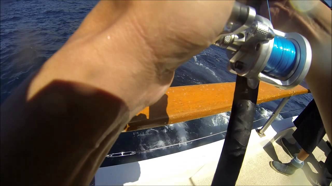 25lb yellowtail!!!...from seaforth landing on the San Diego YouTube