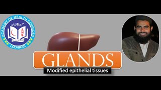 Glands-Modified Epithelial tissues | Histology | by Imran Yaseen