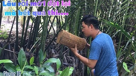#36 Phung TG | ĐẶT LỢP CÁ BỐNG DỪA | Catching goby fish