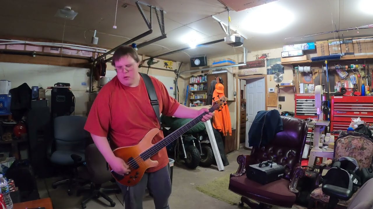 Domination-Pantera (Bass Cover) 