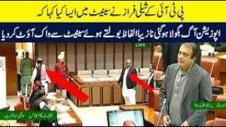 Shibli Faraz Best Reply To Pmln In Senate 14 November 2018
