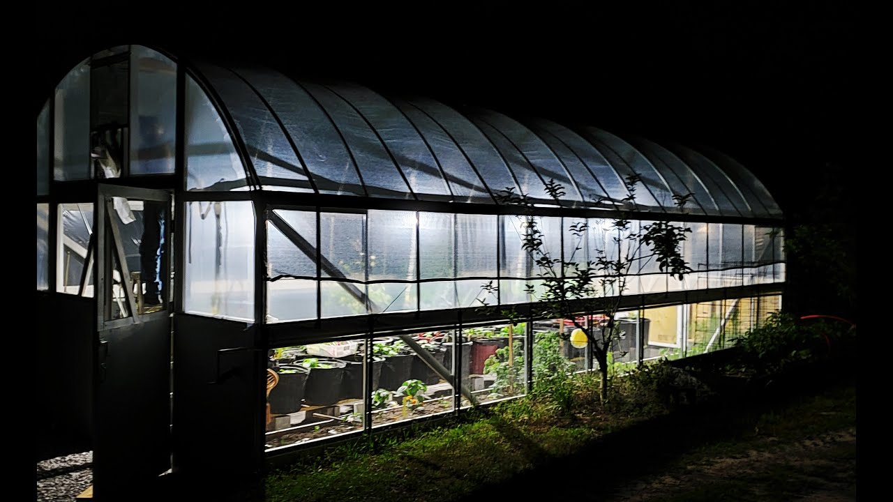 Tour the GREENHOUSE at NIGHT YouTube
