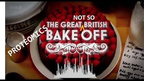 MetaMorpheus Team Conversation with Ben Neely