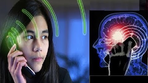 11 loại cây hút sạch BỨC XẠ SÓNG ĐIỆN TỪ và WIFI nên trồng trong nhà để bảo vệ sức khỏe (Health)