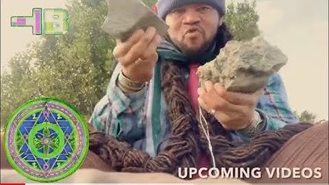 Omniscient/Omnipotent/Omnipresent/Targeted Individual/Biology & Physics Ecology PT373 Photosynthesis