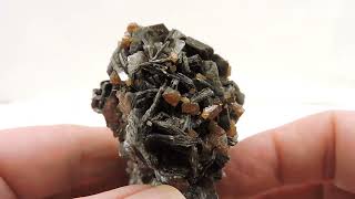 Scheelite On Zinnwaldite From The Czech Republic - Cabinet Size