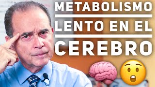 Episodio #1849 Metabolismo Lento En El Cerebro