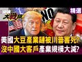 美中貿易與美國稅收政策