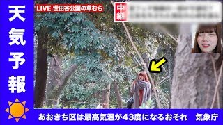 【あおきちニュース】放送事故？ついにニュースの中継でブチ切れてしまう